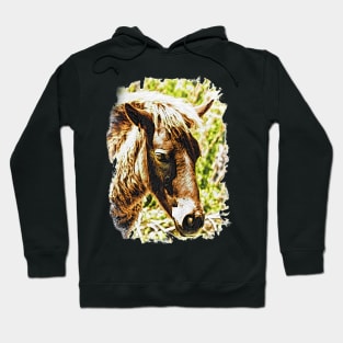 Assateague Pony Wyld Wynds Colt Watercolor Hoodie